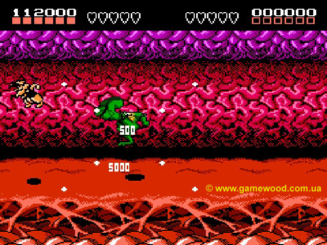 Скриншот игры Battletoads | Dendy (NES) | Полет в неизвестность