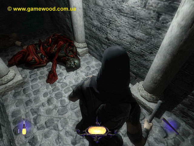 Скриншот игры Thief 3: Deadly Shadows («Thief 3: Тень смерти») | PC | Мёртвая Гамалл. Крупный план