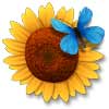 Мини-игра «Цветочный рай» для PC
